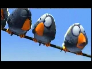 birdies :)