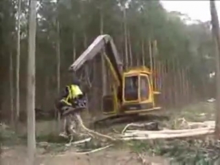 wonders of technology, lumberjack